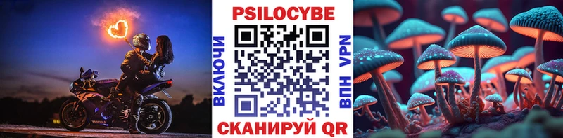 Псилоцибиновые грибы Psilocybe  Свободный 